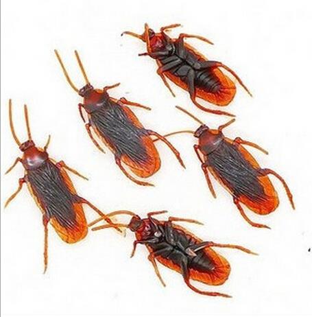 Halloween Cockroach Plastic Novelty Joke Toy