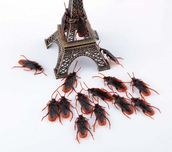 Joke Cockroach 