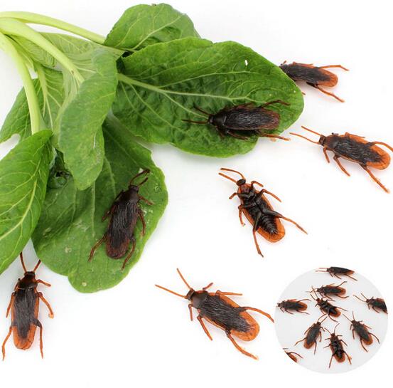 Joke Cockroach 2