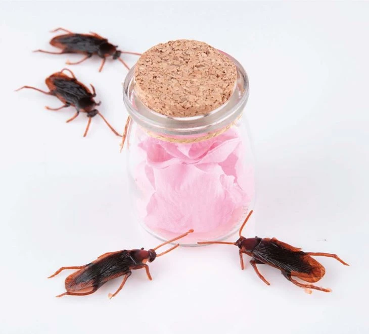 Joke Cockroach 3