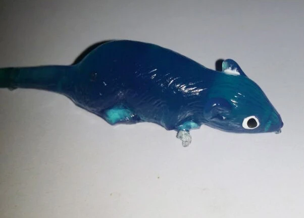 TPR Material Big Sticky Mouse Toy 6
