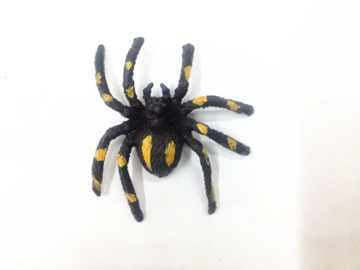 Realistic Plastic Toy Spiders For Kids 2