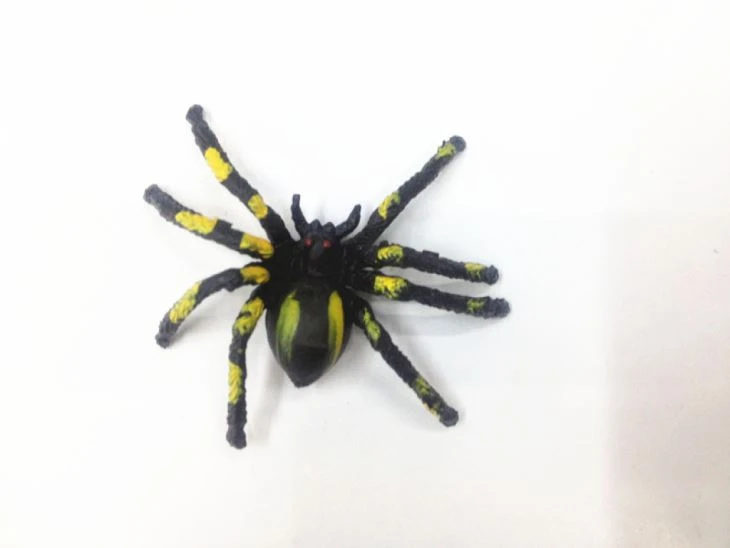 Realistic Plastic Toy Spiders For Kids 3