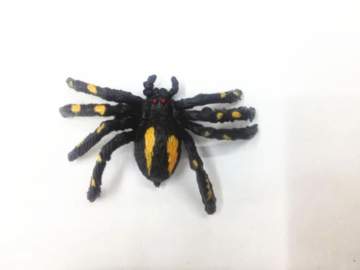 Realistic Plastic Toy Spiders For Kids 4
