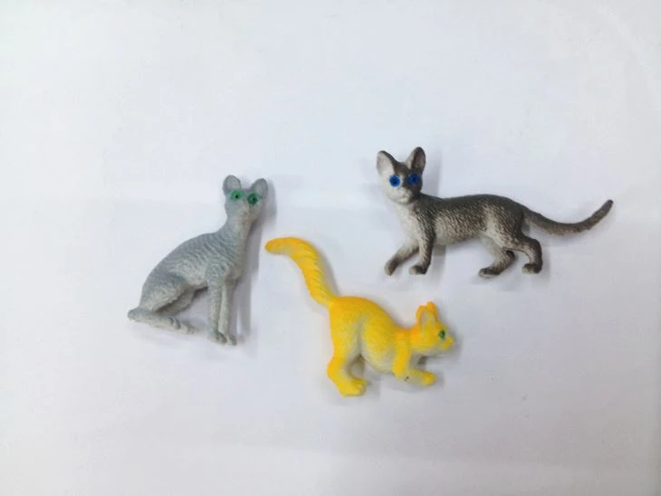 Hot Selling Popular With The Children Of Cat Toys 3