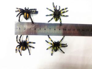 Realistic Plastic Toy Spiders For Kids