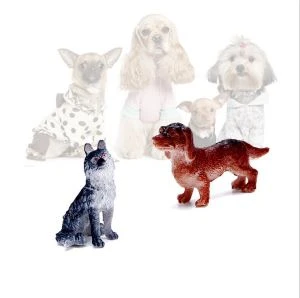 Hot Sell 12 Designs Mini Dog Capsule Toy