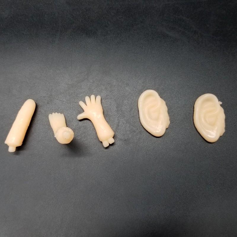 horrible organ toy (2)