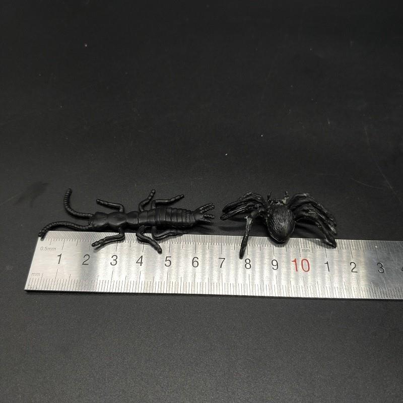 TPR insect (3)
