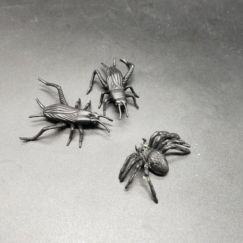 TPR insect (1)
