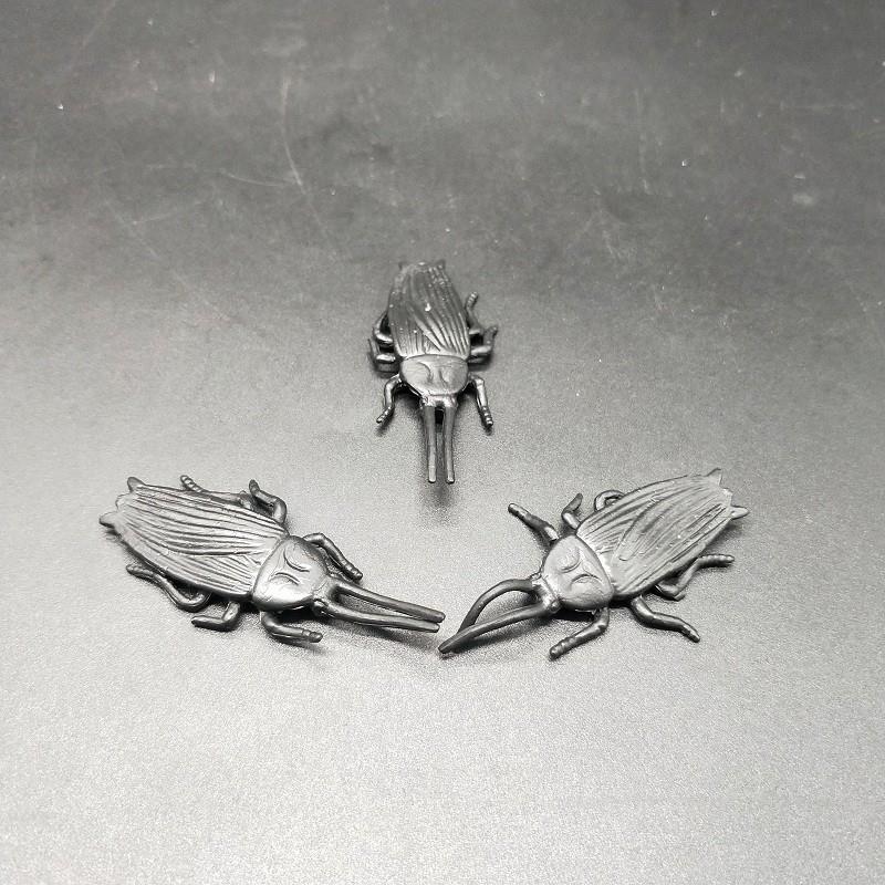 TPR insect (5)