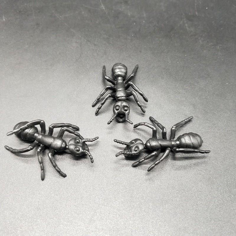 TPR insect (8)