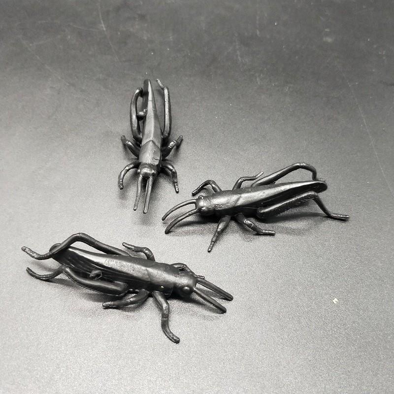 TPR insect (7)