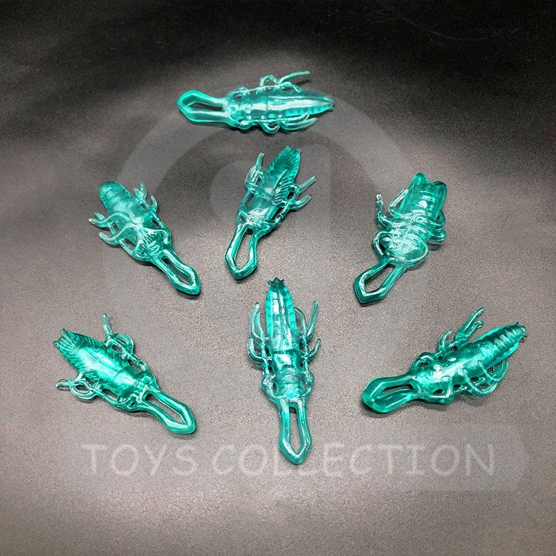 Slinghsot insect(1)