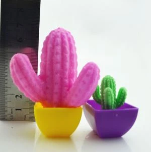 Amazing Plastic Water Growing Cactus Flowers Plants Toy For Kids