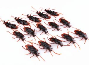 Wholesale Joke Toy Cockroach