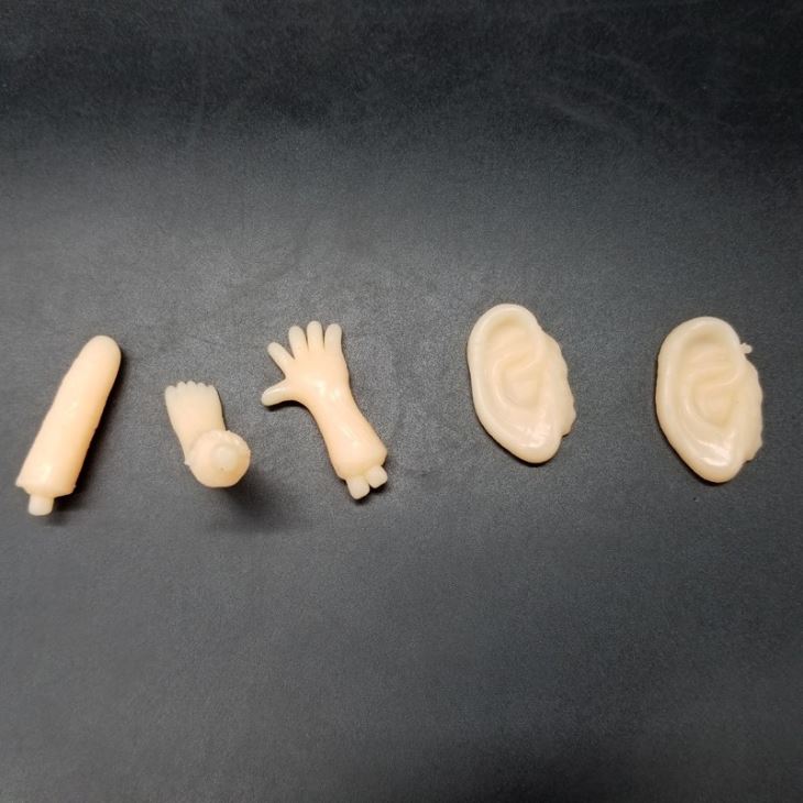 Sticky Horrible Organ Toy For Plastic Capsule