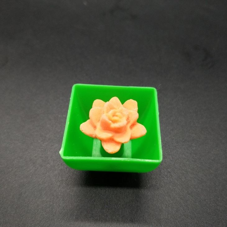 Water Growing Plant Flower Capsule Toy