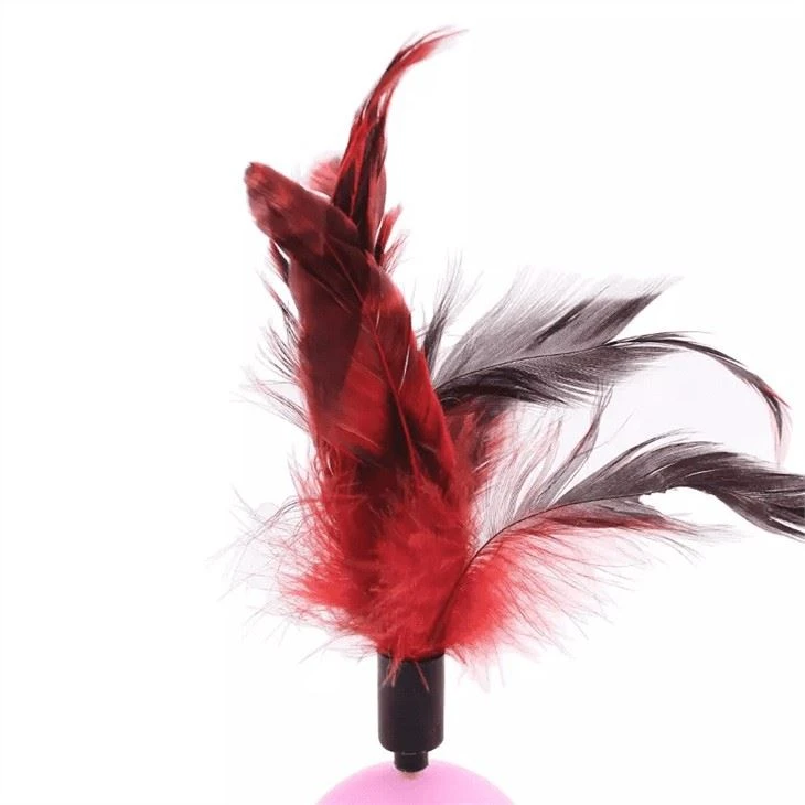 Tumbler Feather Toy